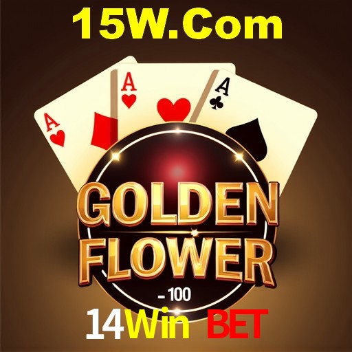 Casino VIP 14Win Bet