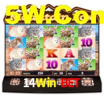 Sinta a adrenalina dos jogos de cassino com 14Win Bet